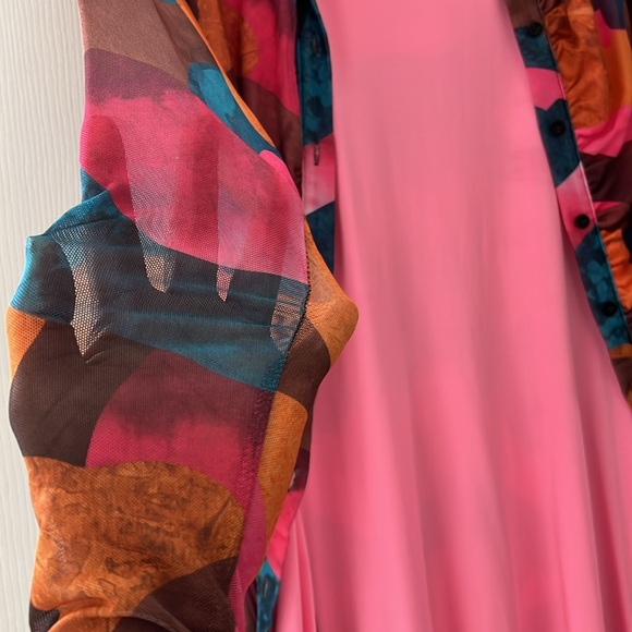 Collared Buttoned Front Ruched Colorblock Mesh Dress - Picture 5 of 6